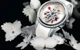 autumn watch collection