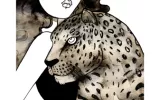 Cassandra Rhodin, Leopard