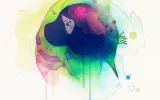 La Princesa y el Rey Pez, Conrad Roset