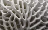 Tomáš Medek, Pollen artwork