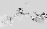 Nastplas, Aria Desktopography, 2010
